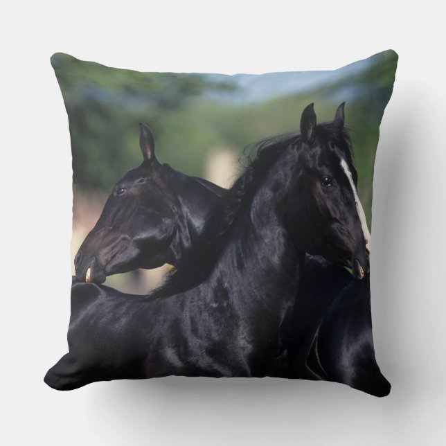 Arab Horse Scratching Throw Pillow (Front)