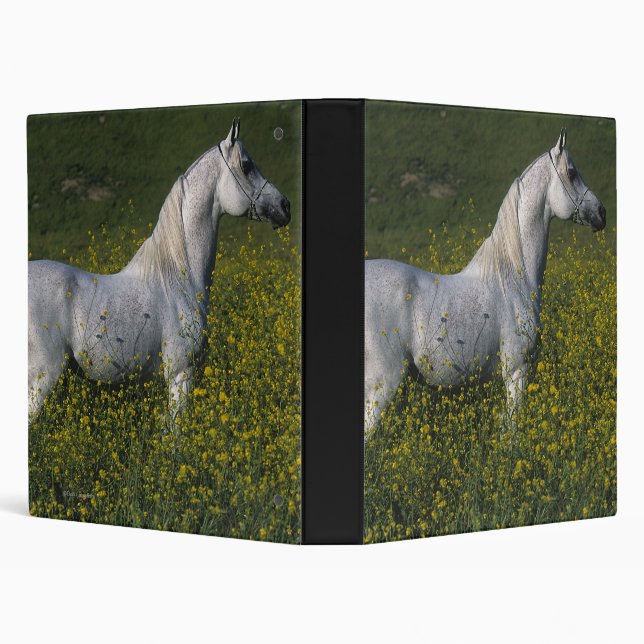 Arab Horse Standing in Flowers Binder (Background)