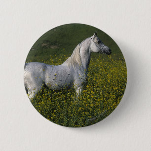 Arab Horse Standing in Flowers Button