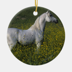 Arab Horse Standing in Flowers Ceramic Ornament