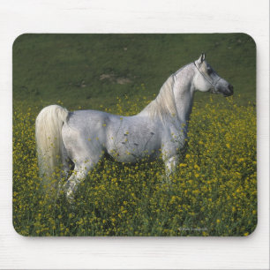 Arab Horse Standing in Flowers Mouse Pad
