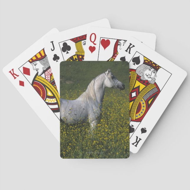 Arab Horse Standing in Flowers Poker Cards (Back)