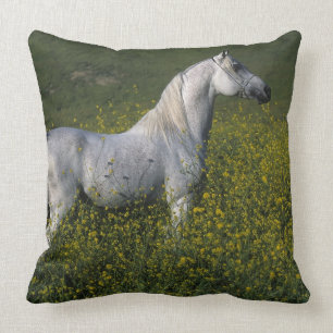 Arab Horse Standing in Flowers Throw Pillow
