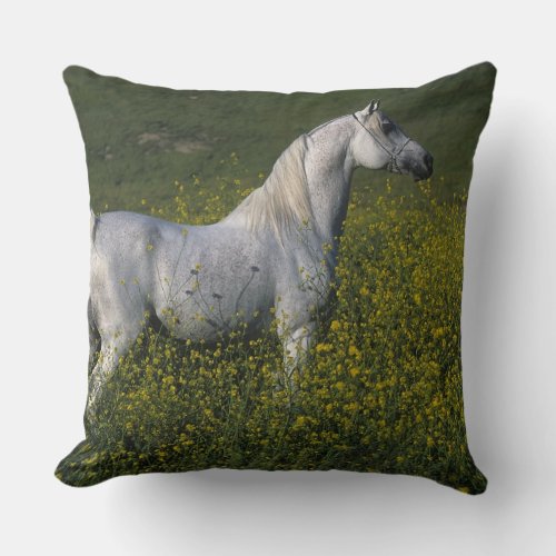 Arab Horse Standing in Flowers Throw Pillow