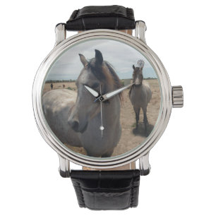 Arab Horse, Watch