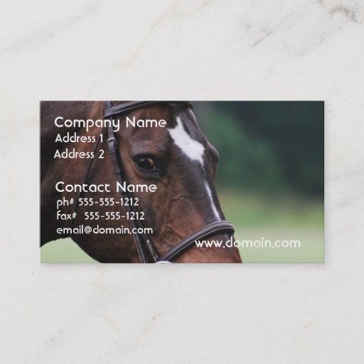 Customizable Arab Horse with White on Face Business Card