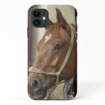 Arab Horses iPhone 11 Case