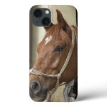 Arab Horses iPhone 13 Case