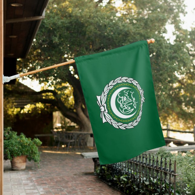 Arab League flag (In SItu)