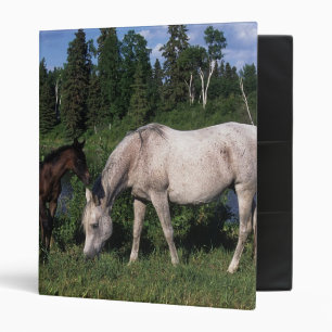 Arab Mare & Foal 2 3 Ring Binder