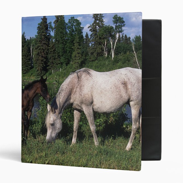 Arab Mare & Foal 2 3 Ring Binder (Front/Inside)