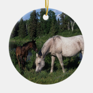 Arab Mare & Foal 2 Ceramic Ornament