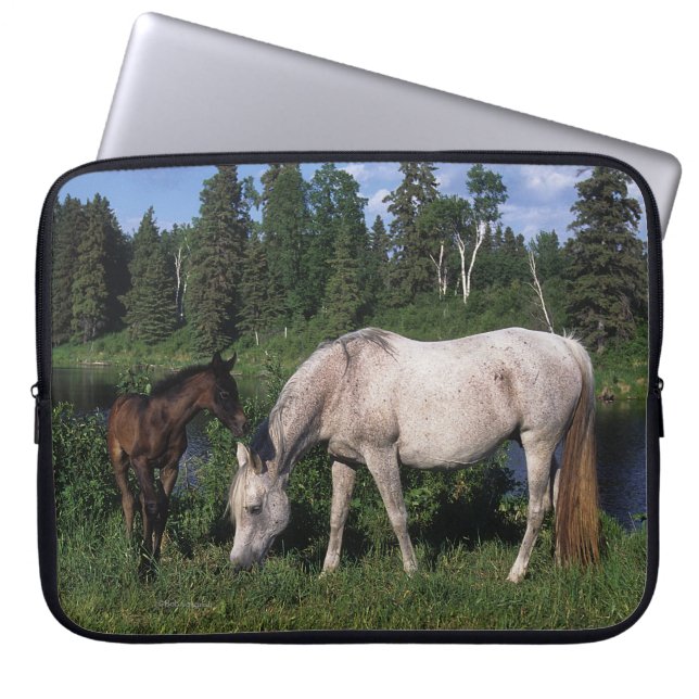 Arab Mare & Foal 2 Laptop Sleeve (Front)