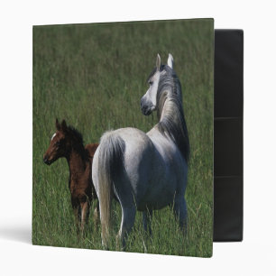 Arab Mare & Foal 3 Ring Binder