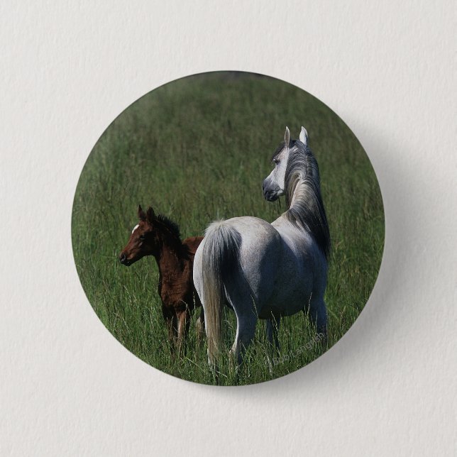 Arab Mare & Foal Button (Front)