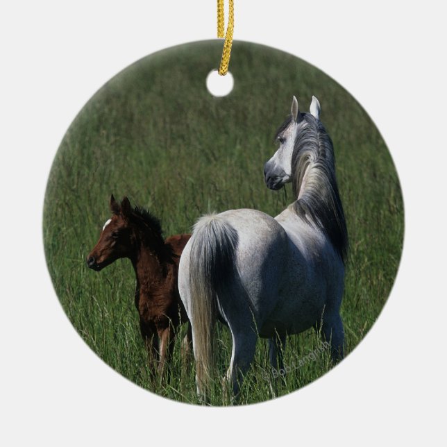 Arab Mare & Foal Ceramic Ornament (Front)