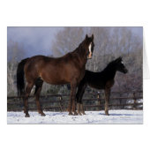 Arab Mare & Foal in Snow (Front Horizontal)