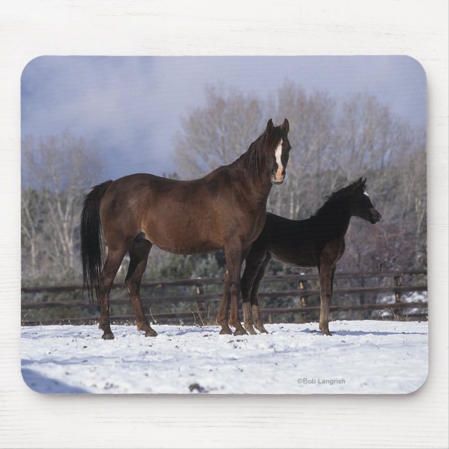 Arab Mare & Foal in Snow Mouse Pad (Front)