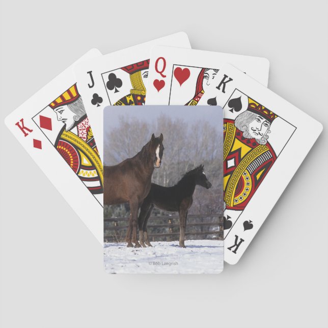 Arab Mare & Foal in Snow Poker Cards (Back)