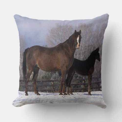 Arab Mare  Foal in Snow Throw Pillow