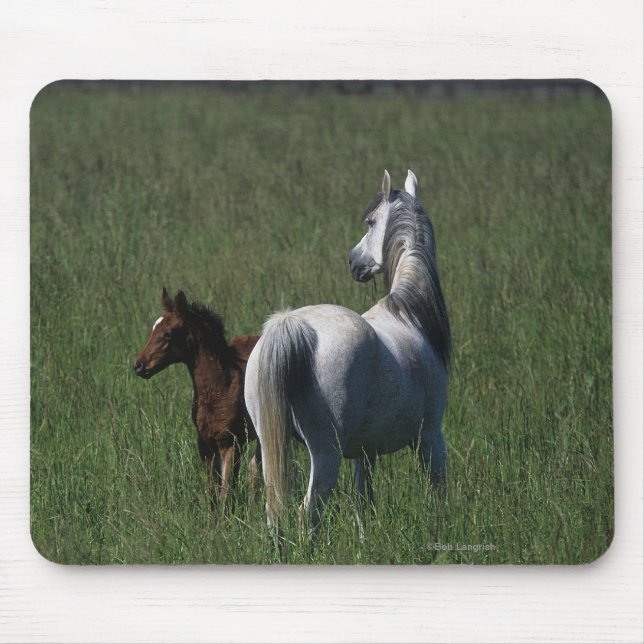 Arab Mare & Foal Mouse Pad (Front)