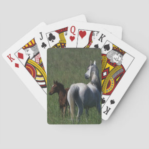 Arab Mare & Foal Poker Cards