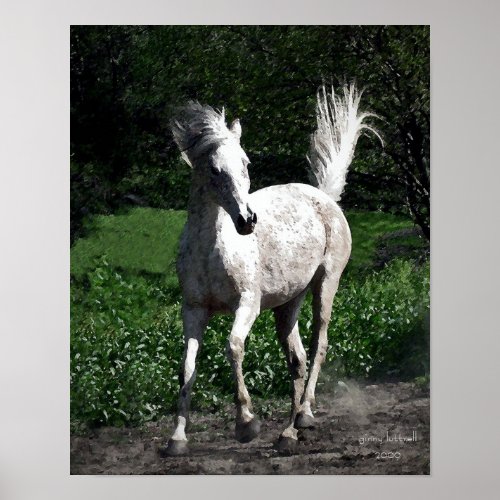 Arab Mare Poster