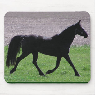Arab profile mousepad