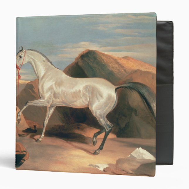Arab Stallion Binder (Front/Inside)