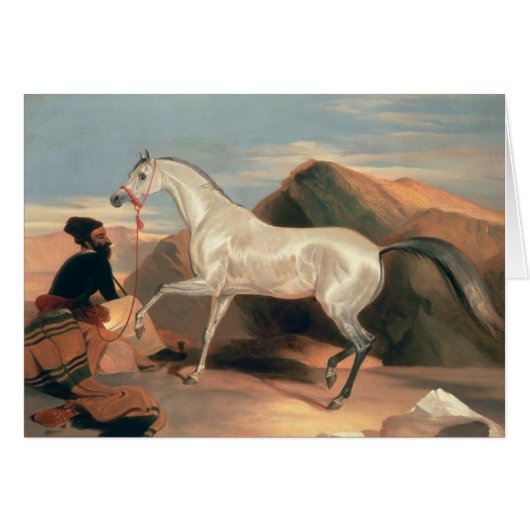 Arab Stallion Cards (Front Horizontal)