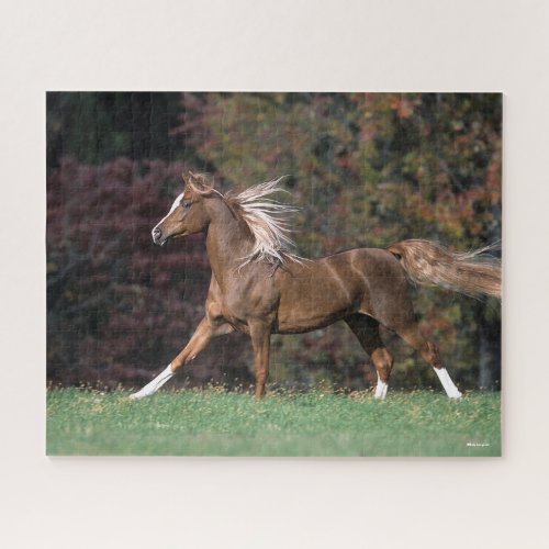 Arab Stallion Running Flowing Mane And Tail Jigsaw Puzzle