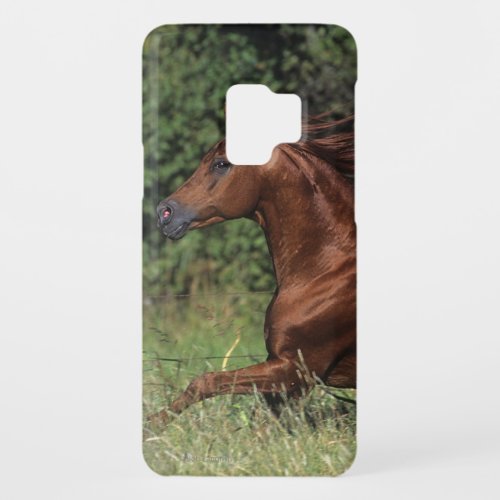 Arab Stallion Running in the Grass Case_Mate Samsung Galaxy S9 Case