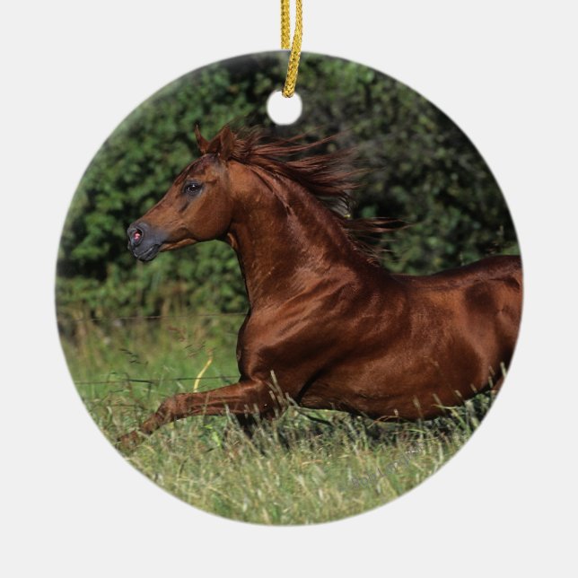 Arab Stallion Running in the Grass Ceramic Ornament (Front)