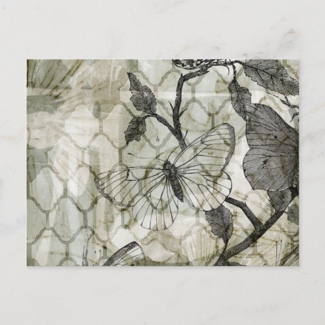 Arabesque Butterflies II Postcard (Front)