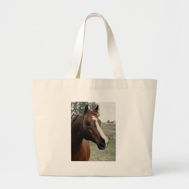 Arabian at Pasture Large Tote Bag (Front)