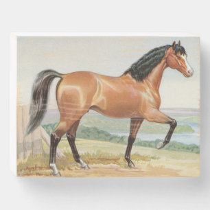 Arabian Bay Horse – Vintage Watercolor Fine Art Wooden Box Sign