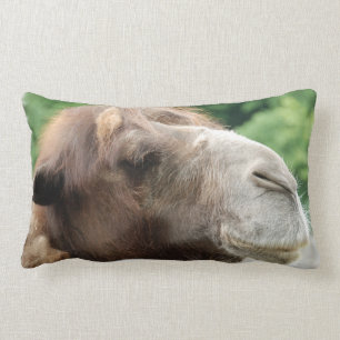 Arabian Camel Pillow