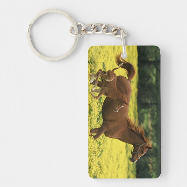 Arabian foal and mare running through keychain (Front)