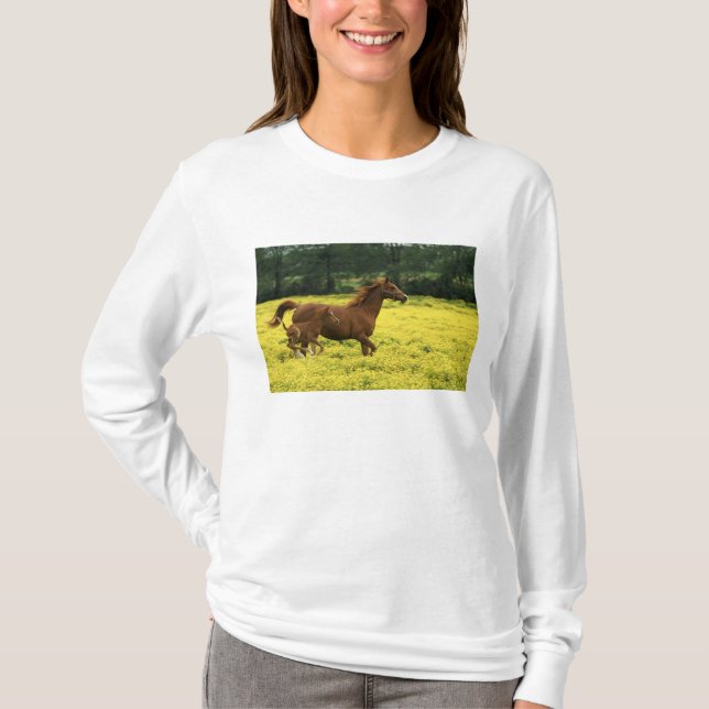 Arabian foal and mare running through T-Shirt (Front)