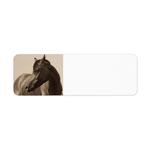Arabian Horse address labels