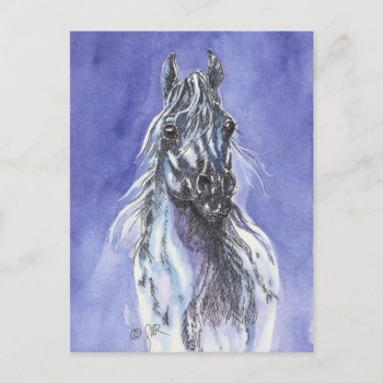 Arabian Horse Art Postcard by GailRagsdaleArt at Zazzle