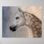Arabian Horse Art Poster at Zazzle