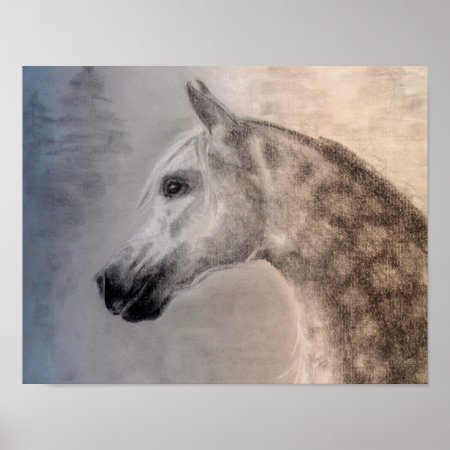 Arabian Horse Art Poster