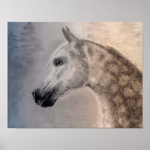 Arabian Horse Art Poster