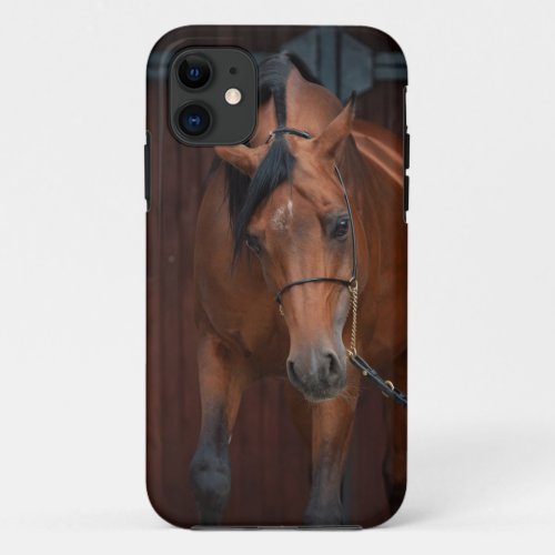 arabian horse beauty bay iPhone 11 case