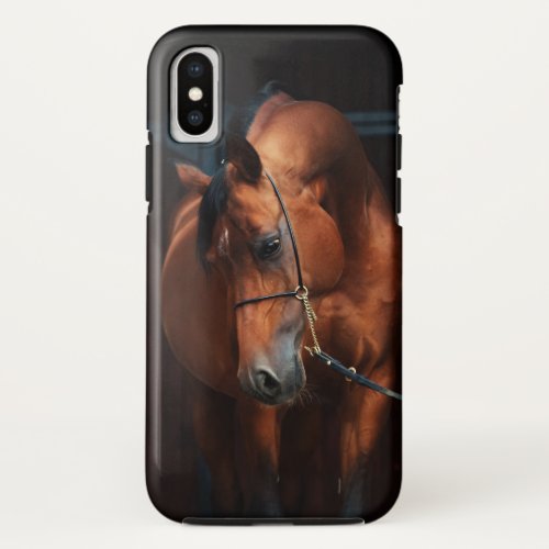 arabian horse beauty bay iPhone x case