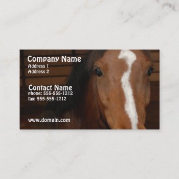 Arabian Horse Business Card by HorseStall at Zazzle