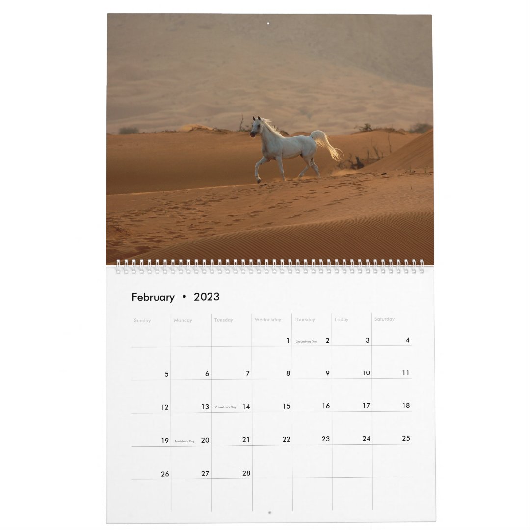 Arabian Horse Calendar 2019 Zazzle