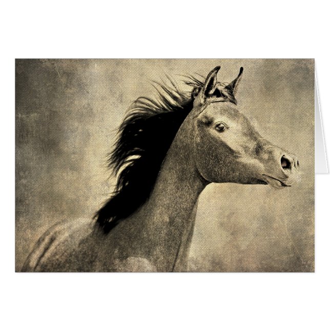 Arabian Horse Cards (Front Horizontal)