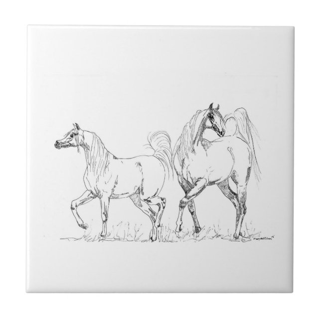 Arabian Horse Ceramic Tile - Arabian Horses (Front)